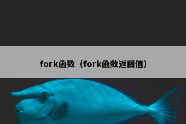 fork函数（fork函数返回值）