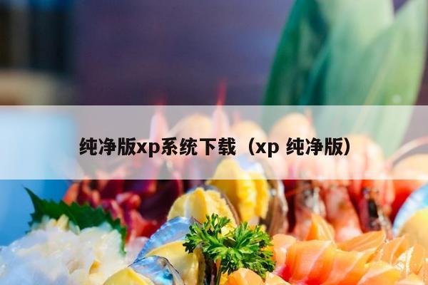 纯净版xp系统下载（xp 纯净版）