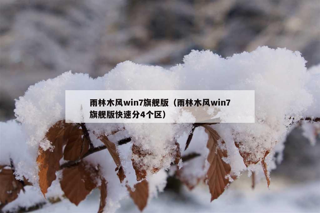 雨林木风win7旗舰版（雨林木风win7旗舰版快速分4个区）