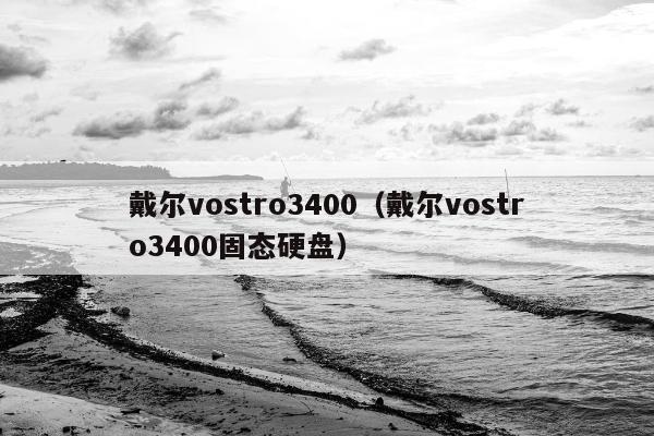 戴尔vostro3400（戴尔vostro3400固态硬盘）