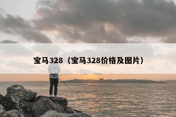 宝马328（宝马328价格及图片）