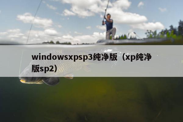 windowsxpsp3纯净版（xp纯净版sp2）