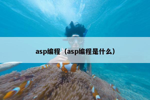 asp编程（asp编程是什么）