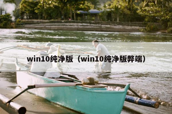 win10纯净版（win10纯净版弊端）