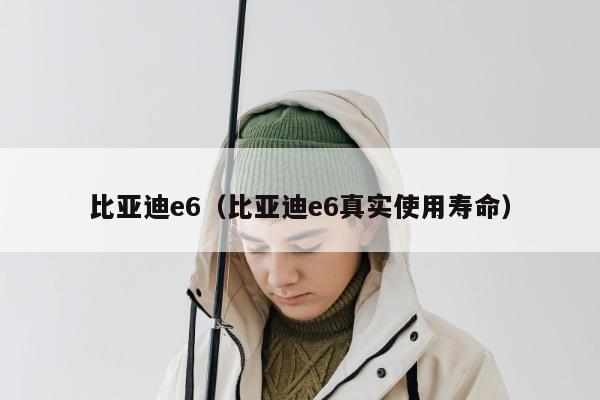 比亚迪e6（比亚迪e6真实使用寿命）