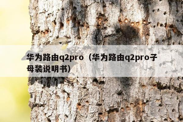 华为路由q2pro（华为路由q2pro子母装说明书）