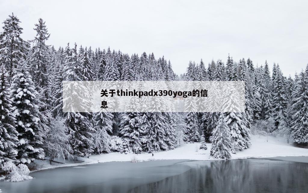 关于thinkpadx390yoga的信息