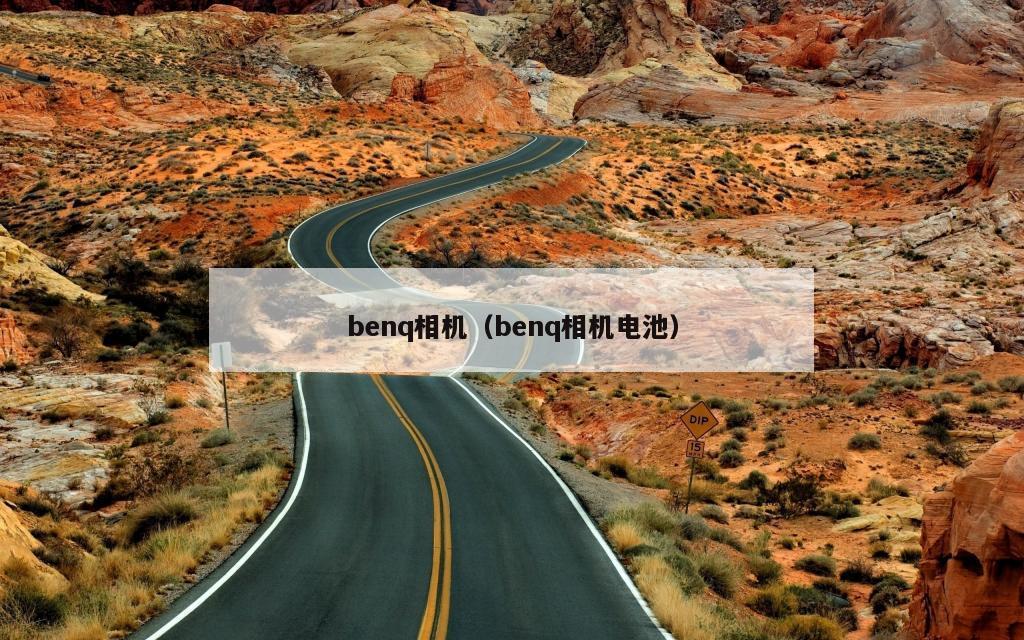 benq相机（benq相机电池）