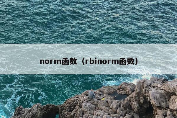 norm函数（rbinorm函数）