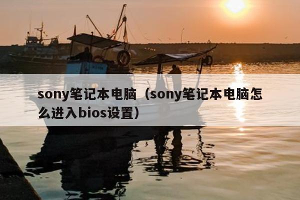 sony笔记本电脑（sony笔记本电脑怎么进入bios设置）