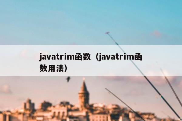 javatrim函数（javatrim函数用法）