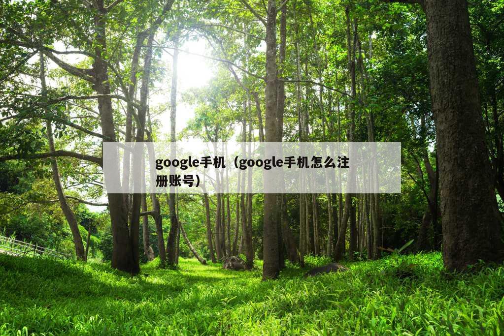 google手机（google手机怎么注册账号）