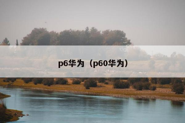 p6华为（p60华为）