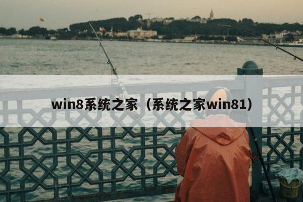 win8系统之家（系统之家win81）