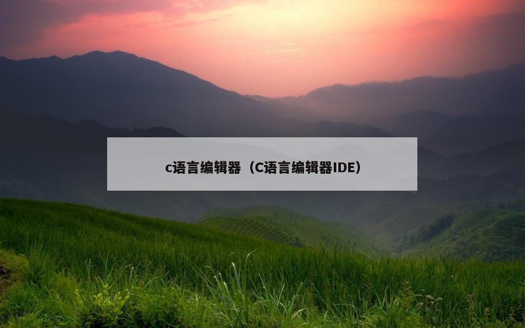 c语言编辑器（C语言编辑器IDE）