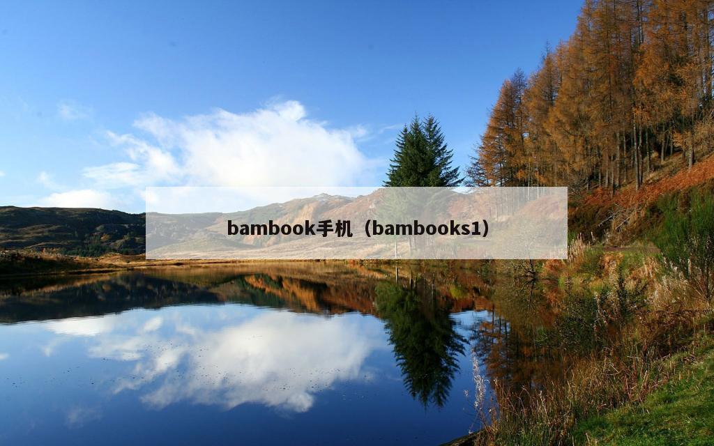 bambook手机（bambooks1）