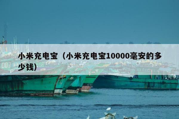 小米充电宝（小米充电宝10000毫安的多少钱）