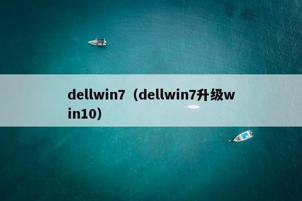 dellwin7（dellwin7升级win10）