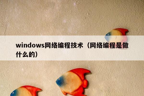 windows网络编程技术（网络编程是做什么的）