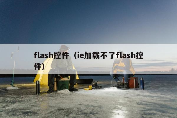 flash控件（ie加载不了flash控件）