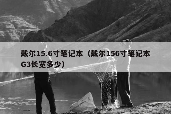 戴尔15.6寸笔记本（戴尔156寸笔记本G3长宽多少）