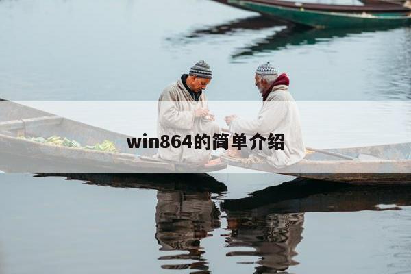 win864的简单介绍