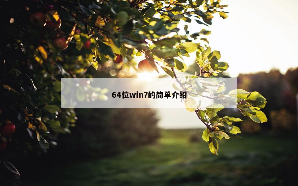 64位win7的简单介绍