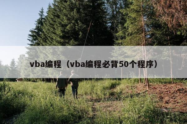 vba编程（vba编程必背50个程序）