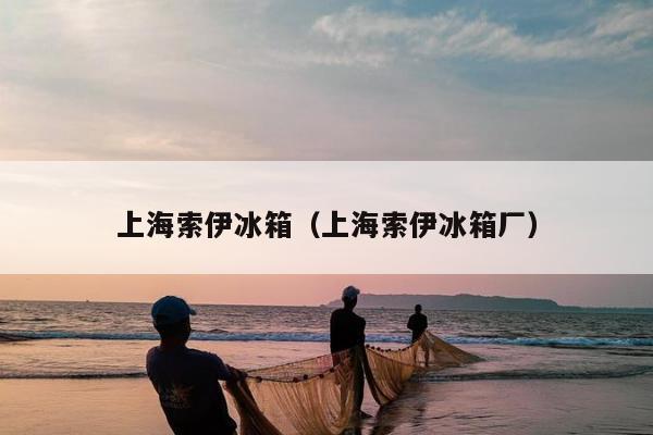 上海索伊冰箱（上海索伊冰箱厂）