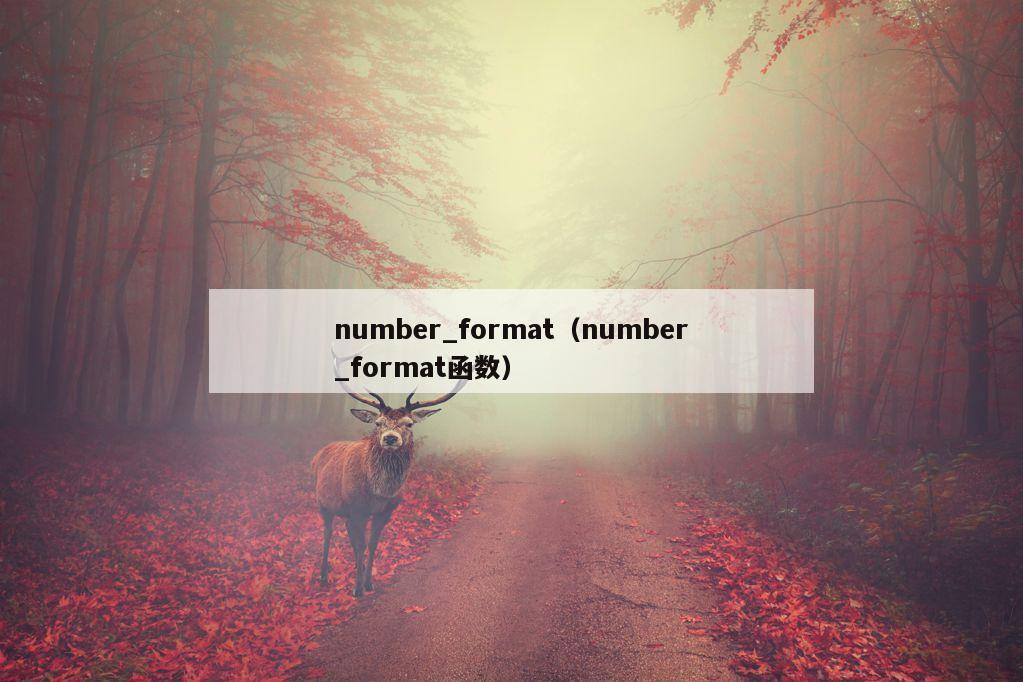 number_format（number_format函数）