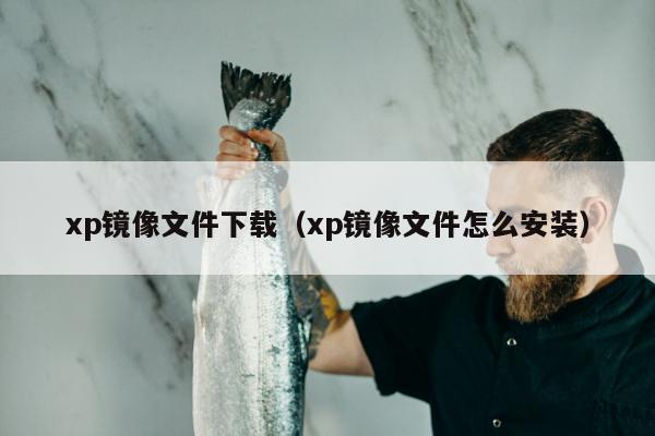 xp镜像文件下载（xp镜像文件怎么安装）