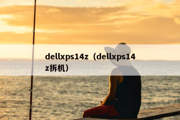 dellxps14z（dellxps14z拆机）