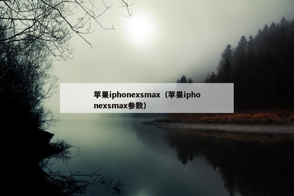 苹果iphonexsmax（苹果iphonexsmax参数）