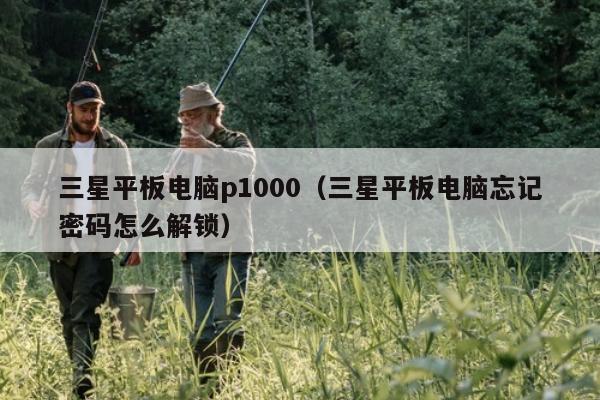 三星平板电脑p1000（三星平板电脑忘记密码怎么解锁）