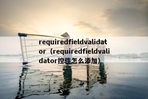 requiredfieldvalidator（requiredfieldvalidator控件怎么添加）