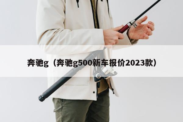 奔驰g（奔驰g500新车报价2023款）