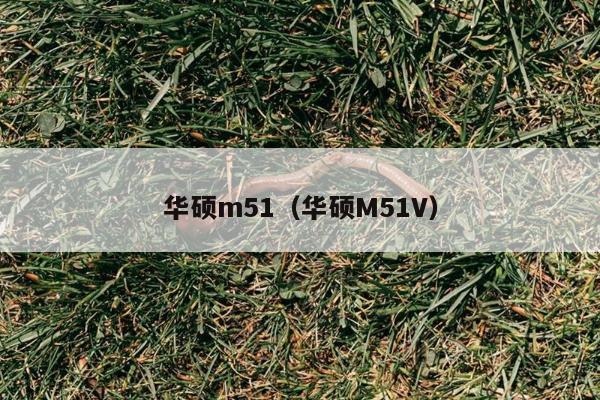 华硕m51（华硕M51V）