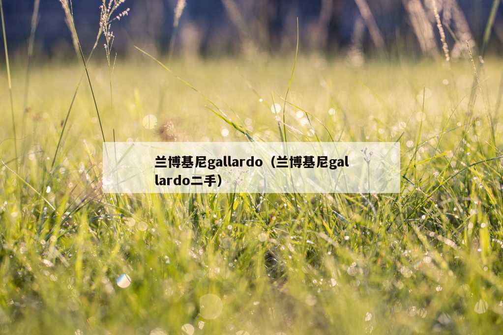 兰博基尼gallardo（兰博基尼gallardo二手）