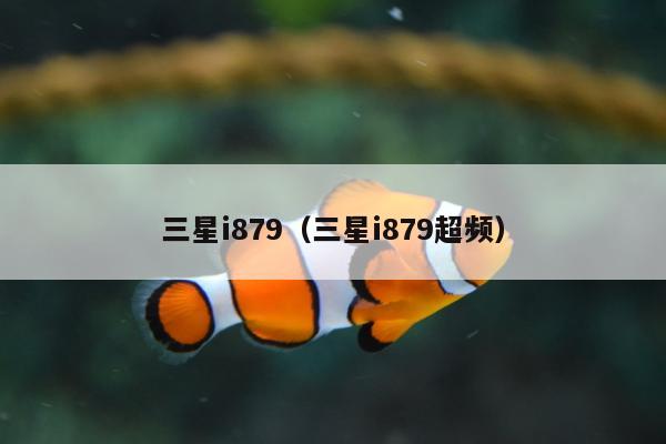 三星i879（三星i879超频）