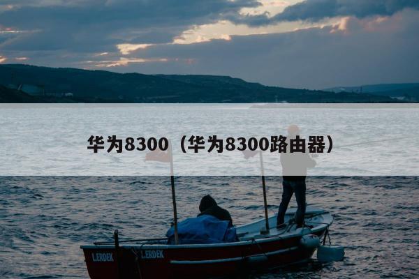 华为8300（华为8300路由器）