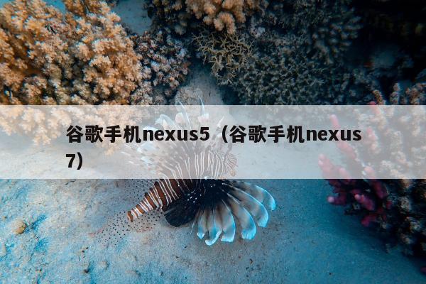 谷歌手机nexus5（谷歌手机nexus7）