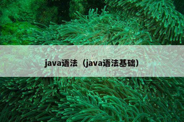 java语法（java语法基础）