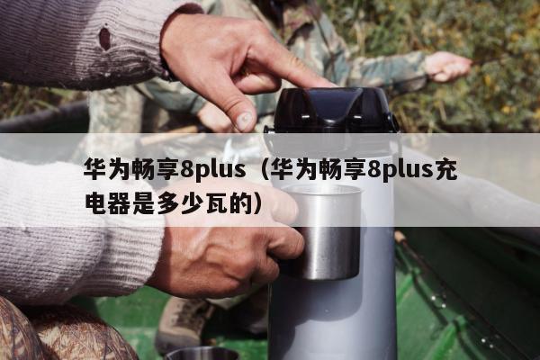 华为畅享8plus（华为畅享8plus充电器是多少瓦的）