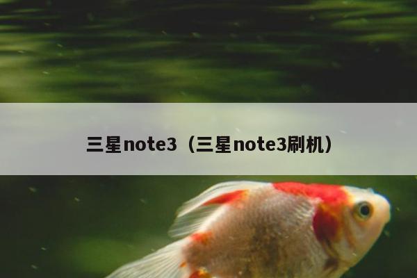 三星note3（三星note3刷机）