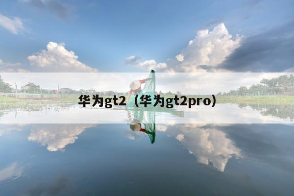 华为gt2（华为gt2pro）