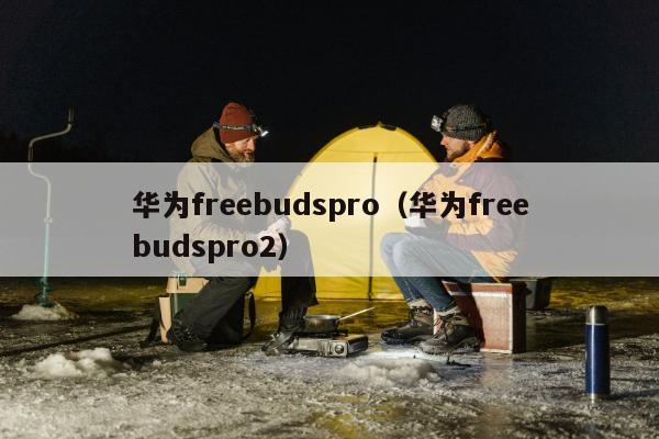 华为freebudspro（华为freebudspro2）