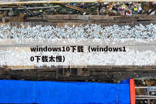 windows10下载（windows10下载太慢）