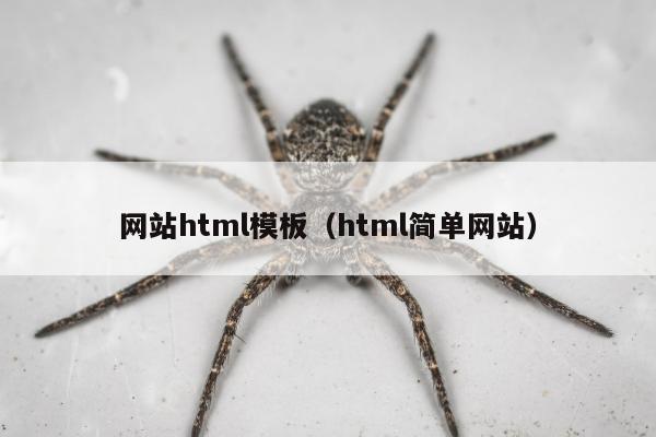 网站html模板（html简单网站）