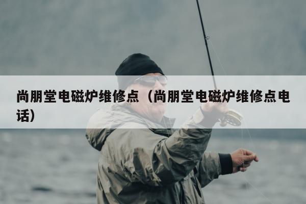 尚朋堂电磁炉维修点（尚朋堂电磁炉维修点电话）