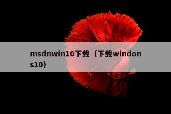 msdnwin10下载（下载windons10）